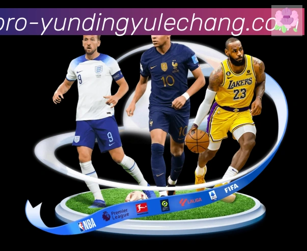 云鼎娱乐场体育平台生态图